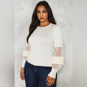 Express Ivory Lace Sleeve Sweater